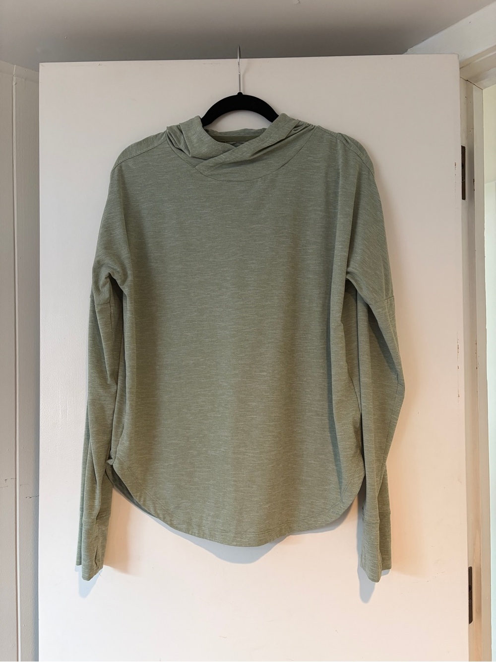 REI Light Sage Hooded Long Sleeve Pullover